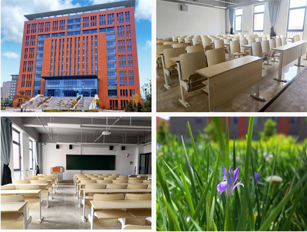 1685437572295370.png 10.png