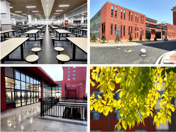 1685437577292142.png 11.png